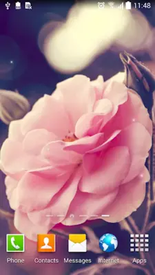 Rose Live Wallpaper android App screenshot 12