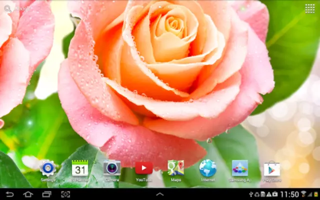 Rose Live Wallpaper android App screenshot 5