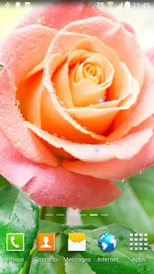 Rose Live Wallpaper android App screenshot 7